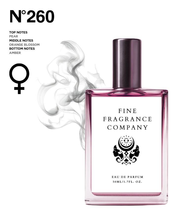 #260 - Inspired By Prada Paradox